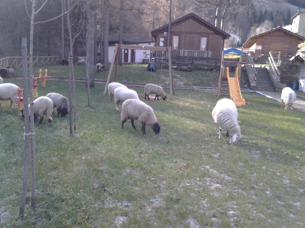 B&B La Miando Salza di Pinerolo Buitenkant foto